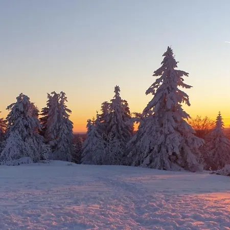 Apartment Ferienwohnung Merle In Winterberg-altastenberg Winterberg