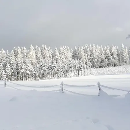 Apartment Ferienwohnung Merle In Winterberg-altastenberg